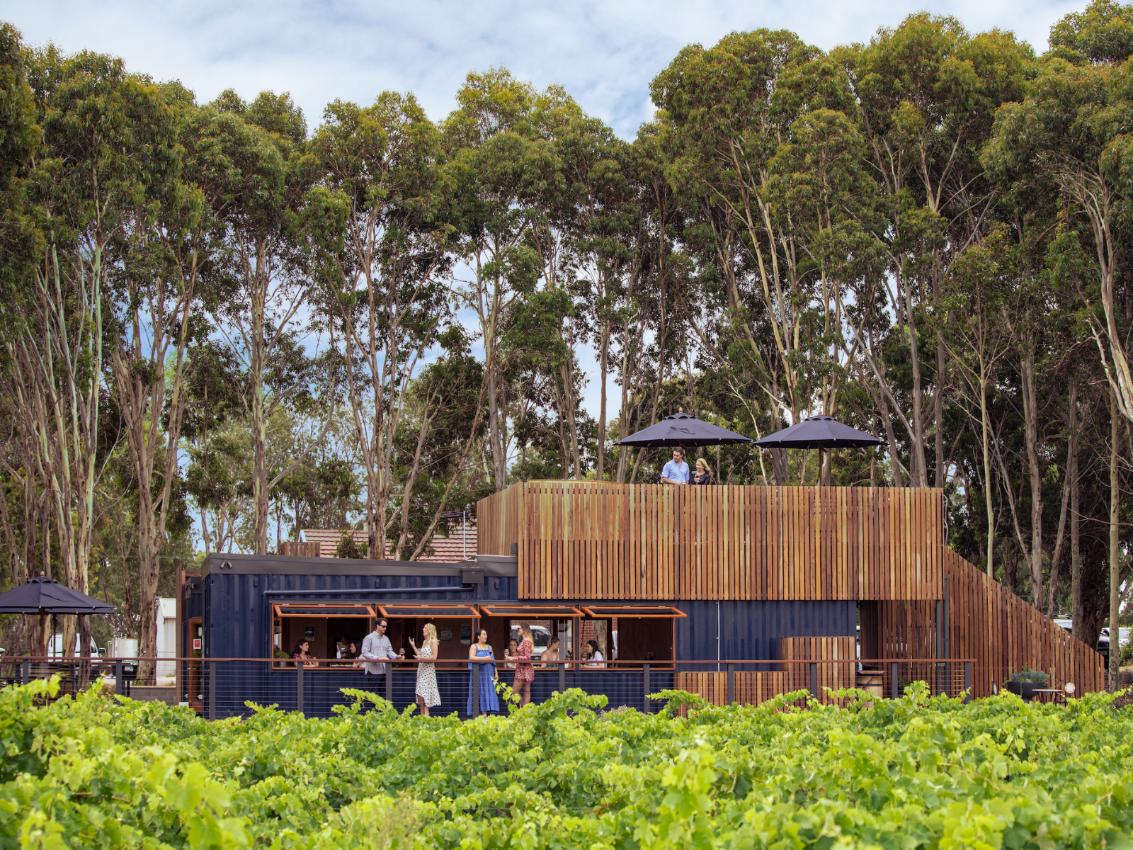 Vineyard, trees and the winery patio 